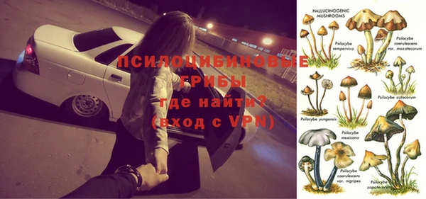 СК Балахна